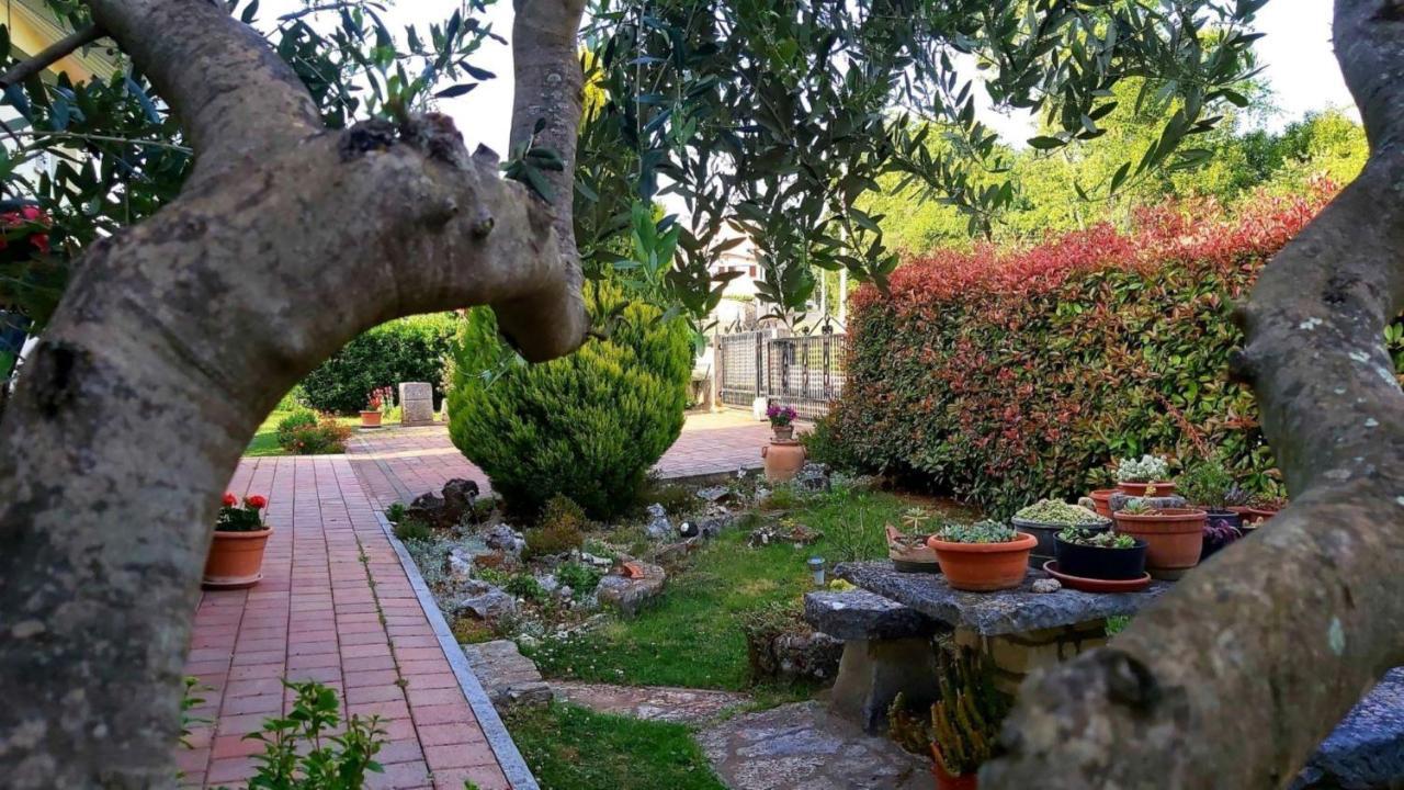 Apartment Green Oasis 1 Umag Eksteriør billede